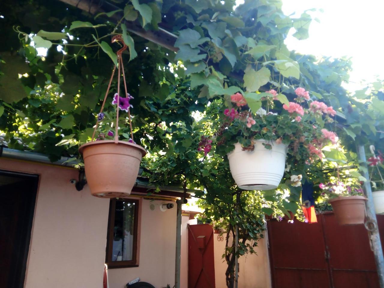 Casa Magda Apartment