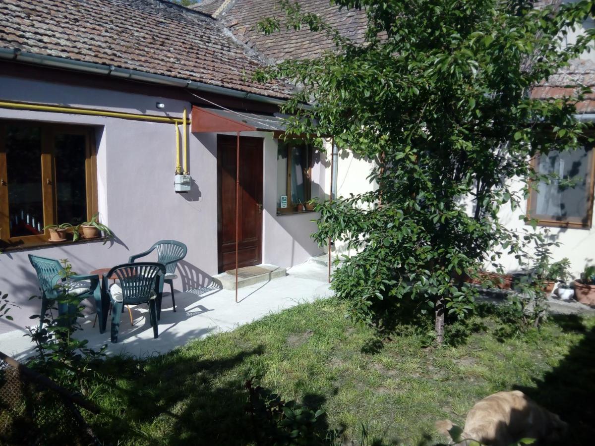 Apartment Casa Magda Timişoara