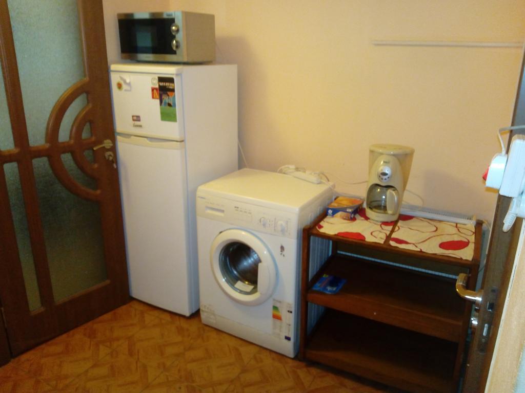 Casa Magda Apartament Timişoara