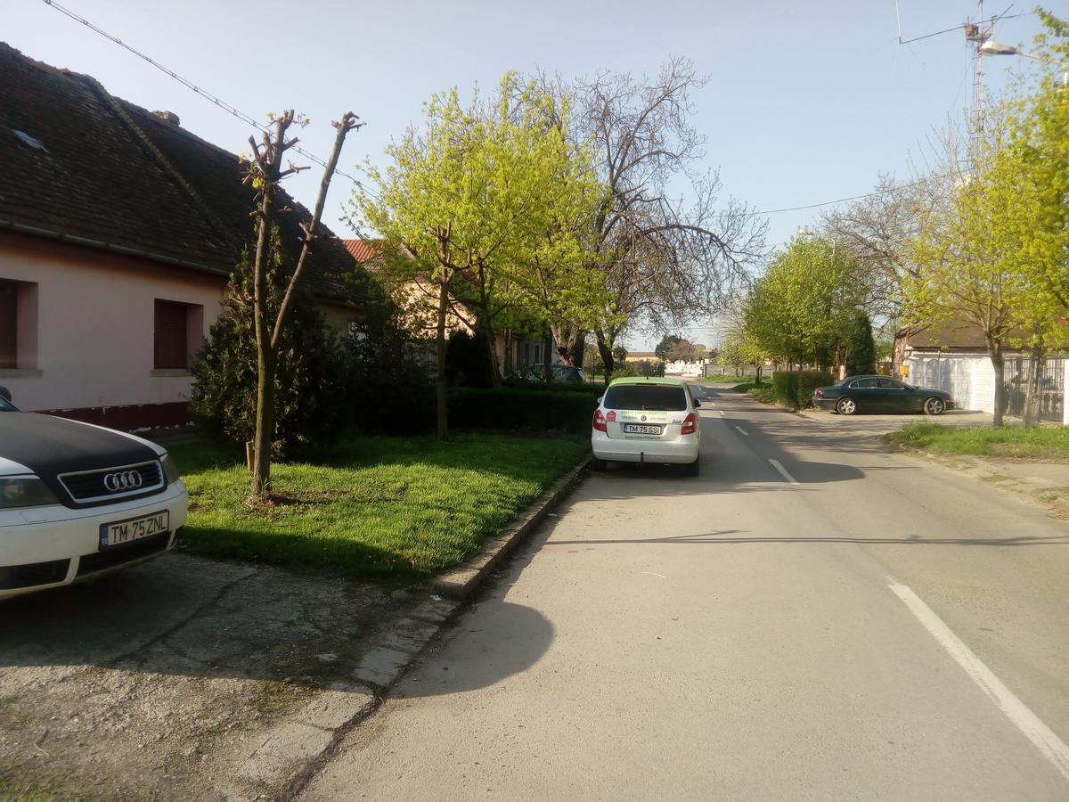 Casa Magda Apartament Timişoara