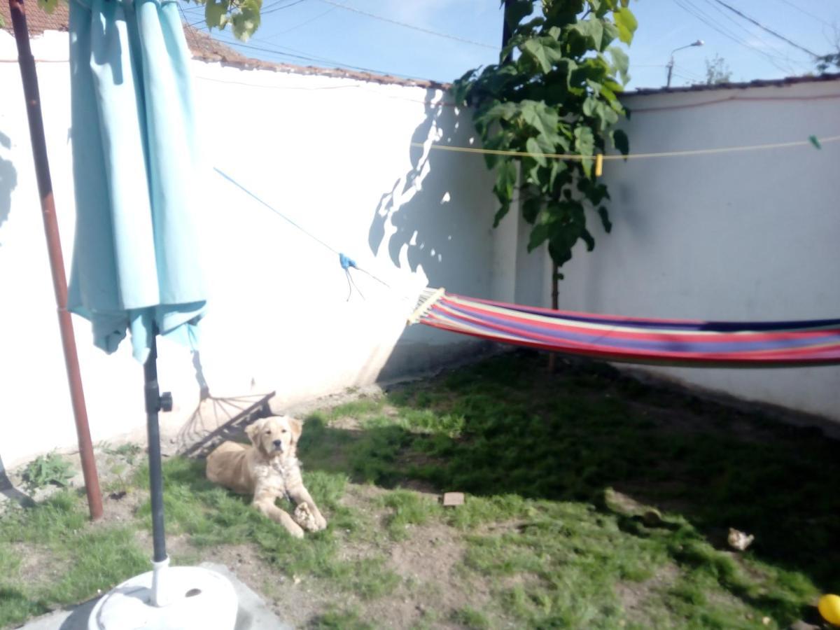 Casa Magda Timişoara